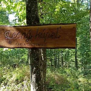 Zborová prechádzka. Vinné, 15.9.2020