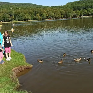Zborová prechádzka. Vinné, 15.9.2020